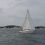 …segeln tut es auch ganz gut!!!
